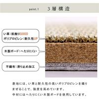 イケヒコ ネイラル 置き畳 700×700mm 1111500010445 1セット(4枚入)（直送品）