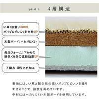 イケヒコ ネイラル 置き畳 700×700mm 1111500010449 1枚（直送品）