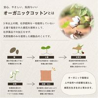 イケヒコ クララ シートクッション ブルー 1210250040201 1枚（直送品）