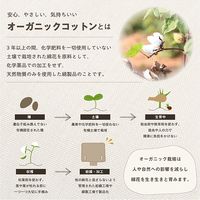 イケヒコ クララ ベンチシート用 カークッション 530×450mm ブルー 1230080040602 1枚（直送品）