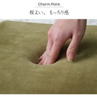 イケヒコ・コーポレーション mou(ムー) シート BK 40×40×4cm 1380000000000 1枚
