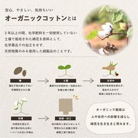 イケヒコ クララ い草入タタキ カークッション 430×430mm ブルー 1230080040302 1枚（直送品）