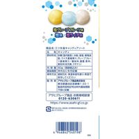 アサヒグループ食品 三ツ矢塩キャンディアソート 1セット（2袋）