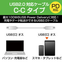 タイプCケーブル (USB-C to C) PD対応 100W 2m 白 U2C-CC5PC20NWH エレコム 1本