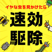 虫コロリ粉剤 550g 1本 アース製薬