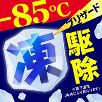 カメムシ駆除 害虫駆除剤 スプレー 虫コロリアース 凍らすジェット 300ml 殺虫剤 冷凍スプレー 害虫 駆除 対策 退治 アース製薬
