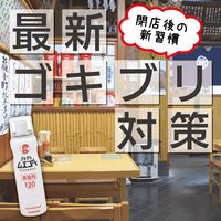 ゴキブリムエンダー 業務用 120プッシュ ゴキブリ トコジラミ 駆除 1本 KINCHO キンチョー