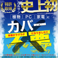 ラクラクバルサン 水ではじめるタイプ 12～16畳 3個セット レック