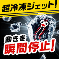 ムカデ 駆除剤 スプレー ムカデコロリ 凍らすジェット 250mL 1本 侵入阻止 予防 ムカデ対策 殺虫剤 冷凍殺虫スプレー アース製薬