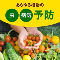 アース製薬 アースガーデン やさお酢 エコパック 850ml 1個 園芸用品 植物 病気対策 殺虫殺菌剤 殺虫剤 殺菌剤 家庭菜園