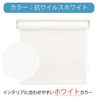 【幅1cm単位】抗ウイルスロールスクリーン幅89cm×高281~300cm tr4238-89x300-r220 1セット トーソー（直送品）