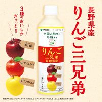 伊藤園 りんご三兄弟 長野県産 400g 1セット（48本）