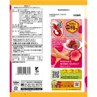 かっぱえびせん 紀州の完熟梅味 70g 6袋 カルビー スナック菓子