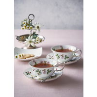 ウェッジウッド ワイルド ストロベリー ファインストロベリー ティーバッグ 1箱（25バッグ入）