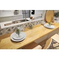 明和グラビア グラスルックデコシート WGL-02 透かしリーフ グレー 20cm×180cm 1個（直送品）