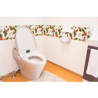 明和グラビア グラスルックデコシート WGL-03 トロピカル オレンジ 20cm×180cm 1個（直送品）