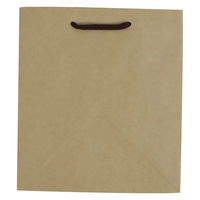 【紙袋】クラフトバッグ 真四角型 Lサイズ 1パック（10枚入 ）ハピラ