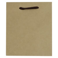 【紙袋】クラフトバッグ 真四角型 Mサイズ 1セット（50枚:10枚入×5袋 ）ハピラ