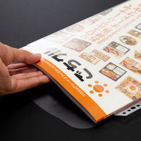 アスクル　リング式ファイル用ポケット　A4タテ　30穴　100枚収容マチ付き　1袋（10枚入） オリジナル  オリジナル（わけあり品）