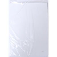 サンフレイムジャパン 書道半紙 松風 100枚 368-0003 1セット(1000枚:100枚×10)（直送品）