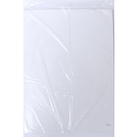 サンフレイムジャパン 書道半紙 練習用 清水 80枚 368-0012 1セット(800枚:80枚×10)（直送品）