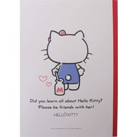 サンフレイムジャパン サンリオＢ5ノート　5冊組　キティ　Ｂ罫　30枚 500-2389 1セット（15冊:5冊組×3）（直送品）