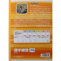 サンフレイムジャパン Ｂ5学習帳　漢字練習　120字 500-2428 1セット（10冊）（直送品）
