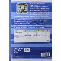 サンフレイムジャパン Ｂ5学習帳　こくご　15マス 500-2431 1セット（10冊）（直送品）