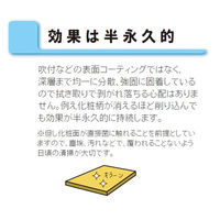 【軒先渡し】ガイアエデュケーション 抗ウィルス 抗菌ミーティングテーブル 幅1800×奥行750×高さ720mm ホワイト 1台（直送品）