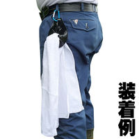 斎藤撚糸 たおるフォルダー 90095 1枚（直送品）