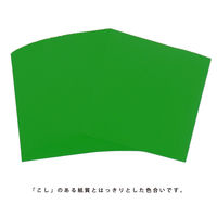 エヒメ紙工 両面同色おりがみ 単色 みどり 15cm ESC-05 1冊（100枚）