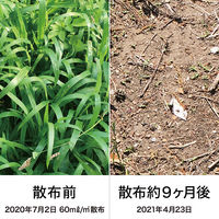 レインボー薬品 ネコソギロングシャワーＶ9　2Ｌ 1セット（3本） 長期持続型シャワー除草剤　最長約9カ月間持続