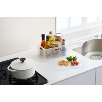 SANKA ナチュラ インボックス ピコ L NIB-PK-LCL 1個