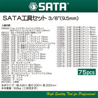 SATA Tools SATA3/8工具セット RS9575S 1セット（直送品）
