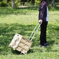 不二貿易 フォールディングキャリーカート L 蓋付き BE 86440 1個