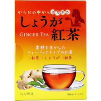 HIKARI しょうが紅茶 3g×30袋入 1箱(3g×30袋入)×10（直送品）