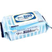 日新 99.9%除菌 どこでも除菌シート 1セット(80枚×12袋)