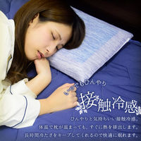 iiもの本舗 極冷感 ダブルクール 低反発枕 サックス 約28X39cm 1個入×2セット（直送品）