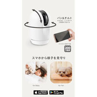 リッチェル 見守りカメラ LOOK 1台（直送品）