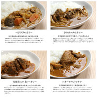 きのポックル きのポックルおすすめカレー4種セット ST31002-2 1セット(8袋：4種×各2袋入)（直送品）