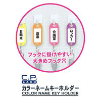 レモン カラーネームキーホルダー フック穴付 6個入×10パック 6色アソート 887186x10SET 1箱