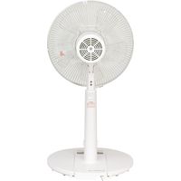 エスケイジャパン リビング扇（リモコン式）SKJ-K310R(W)　1台（直送品）