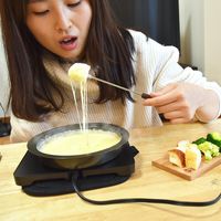 サンコー 小さくてもずっとあったか~い「フードウォーマープレートSサイズ」 TKFWPLS 1台（直送品）