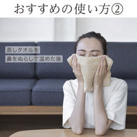 パナソニック スポットクリア EH-SC10-E 1台