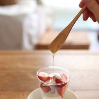 ヤマコー #83009 マルチ はちみつスプーン　1本（直送品）