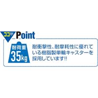ストア・エキスプレス 組立式ハンガーラック　クロームＷ６０ｃｍタイプ 2171-136 1台（直送品）