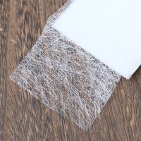 サクセス フルネス カーテン用すそあげテープ アイロン接着タイプ 幅5cm×長さ1.6m巻 SC-M2123 1セット(5セット)（直送品）