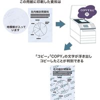 サンワサプライ マルチタイプコピー偽造防止用紙(B4・100枚入り) JP-MTCBB4N 1個