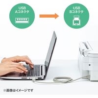 サンワサプライ USB2.0ケーブル(0.6m) KU20-06HK2 1本