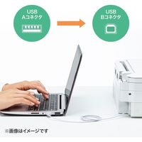USBケーブル　USB-A（オス）USB-B（オス）　0.5m　USB2.0　KU20-SL05WK　サンワサプライ　1本（直送品）